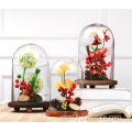 Customize High Quality Glass Display Dome